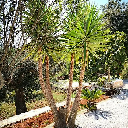 Prázdninový dům Trullo Pietre Sognanti Ostuni